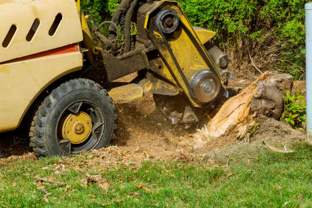 Best Landscape Design and Installation  in Turner, OR